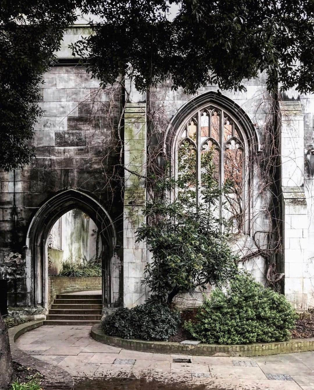 ELLE DECORさんのインスタグラム写真 - (ELLE DECORInstagram)「The beauty of a 🍃🌿🌱 covered facade. #regram 📸: @crazycatladyldn #london」4月30日 2時11分 - elledecor