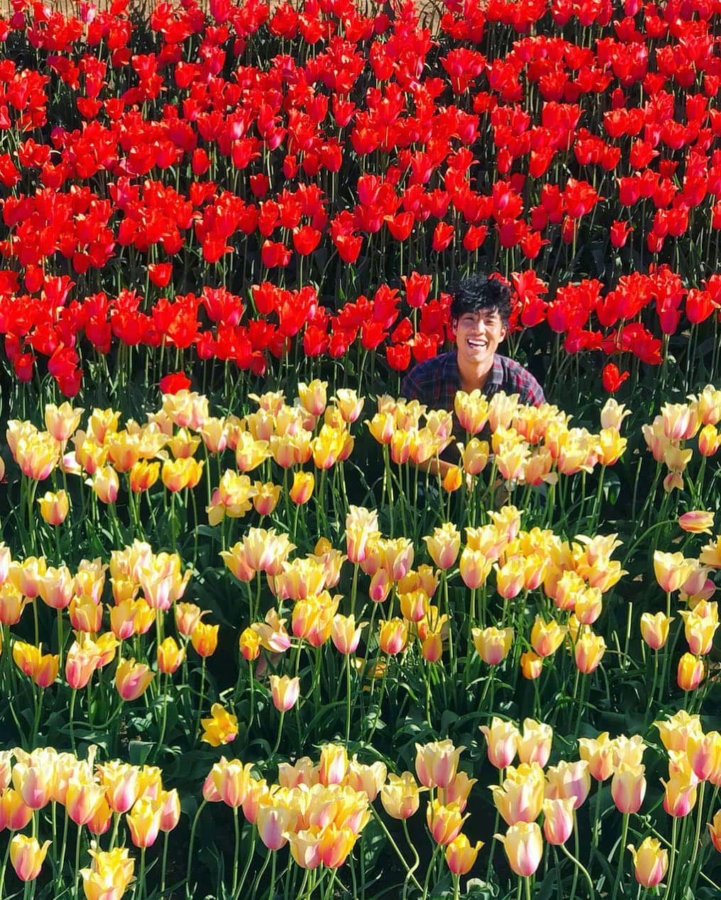 ユージン・リー・ヤンのインスタグラム：「🌷🌷🌷🌷🌷🌷🌷🌷🌷🌷🌷🌷🌷🌷🌷🌷🌷🌷🌷🌷🌷🌷🌷🌷🌷🌷🌷🌷🌷🌷🌷🌷🌷🌷🌷🌷🌷🌷🌷🌷🌷🌷🌷🌷🌷🙇🏻‍♂️🌼🌼🌼🌼🌼🌼🌼🌼🌼🌼🌼🌼🌼🌼🌼🌼🌼🌼🌼🌼🌼🌼🌼🌼🌼🌼🌼🌼🌼🌼🌼🌼🌼🌼🌼🌼🌼🌼🌼🌼🌼」