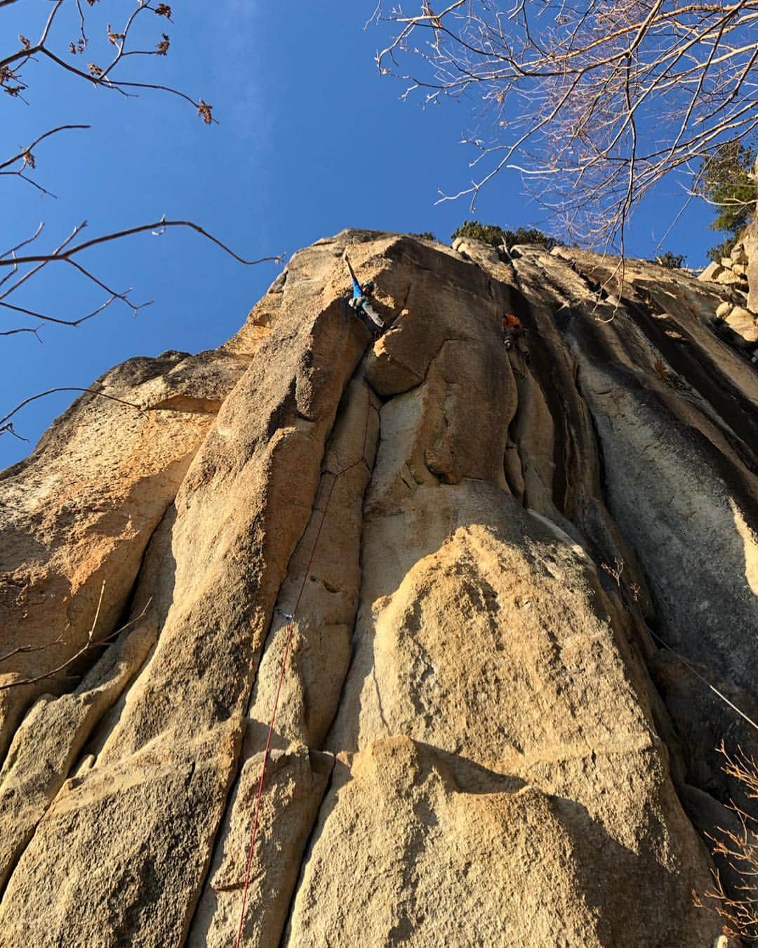 植田夢月のグルメインスタ