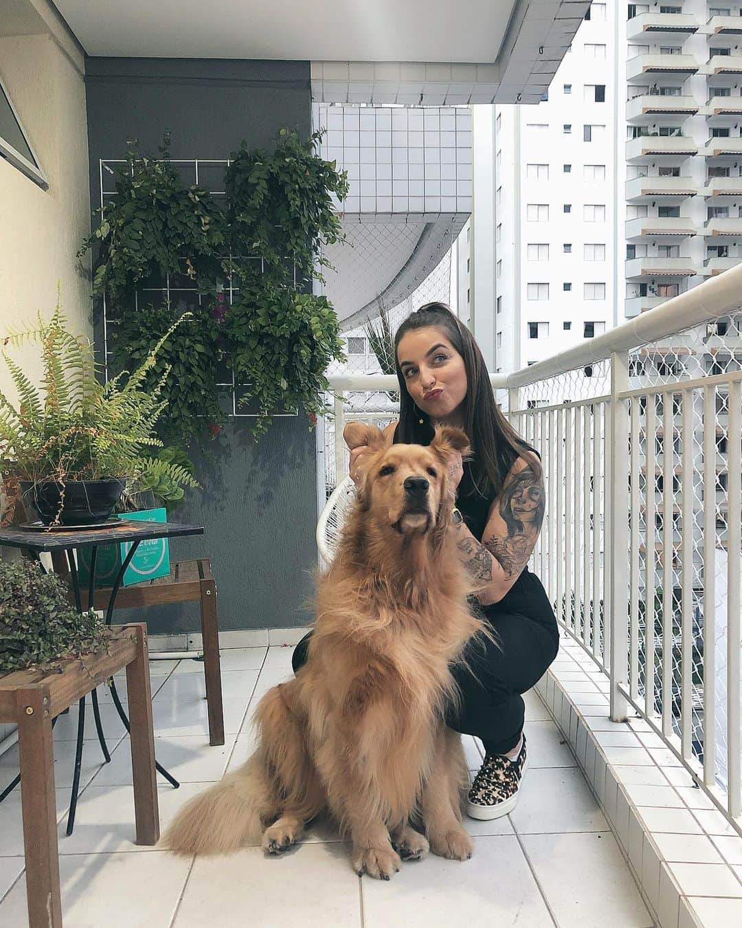 Bruna Unzuetaのインスタグラム：「Titias e titios, to passando aqui pra dizer que to beeem melhor, a minha mamãe Boo e minha vovó Jussara cuidaram muito bem de mim, agora voltei a ser o Fonsin fofinho de antes e sem dor 🐶 auau」
