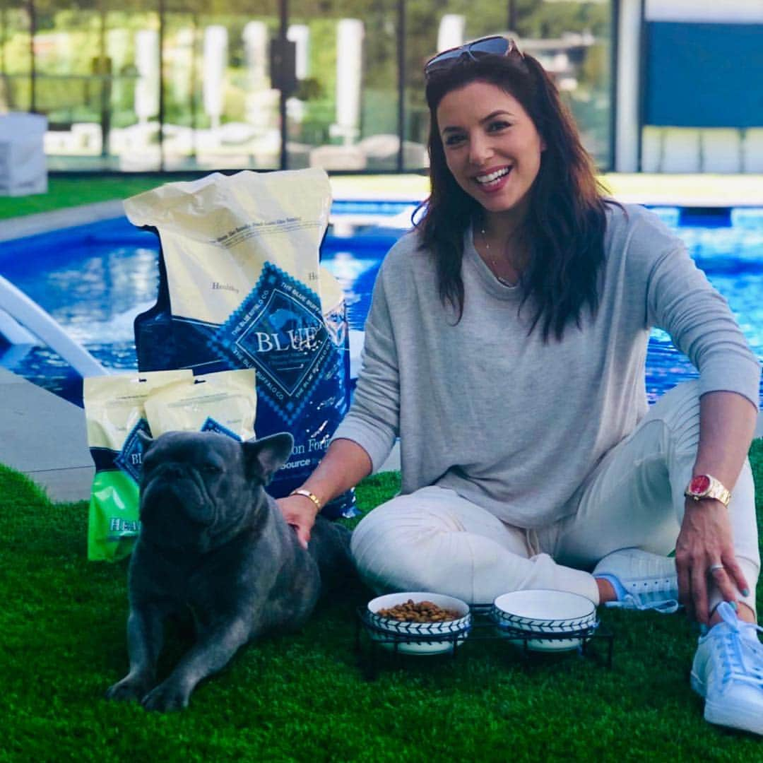 エヴァ・ロンゴリアさんのインスタグラム写真 - (エヴァ・ロンゴリアInstagram)「Popeye and I outside enjoying this sunshine!  He is loving his new @BlueBuffalo food and treats from @Walmart, just look how proud he is ☺️ As a new Mom, Walmart’s grocery delivery and pickup services are a game changer. They make it easy to get quality products like Blue Buffalo, all in one stop.  #sponsored #walmart #walmartgrocerypickup #mydogisasupermodel」4月30日 5時53分 - evalongoria