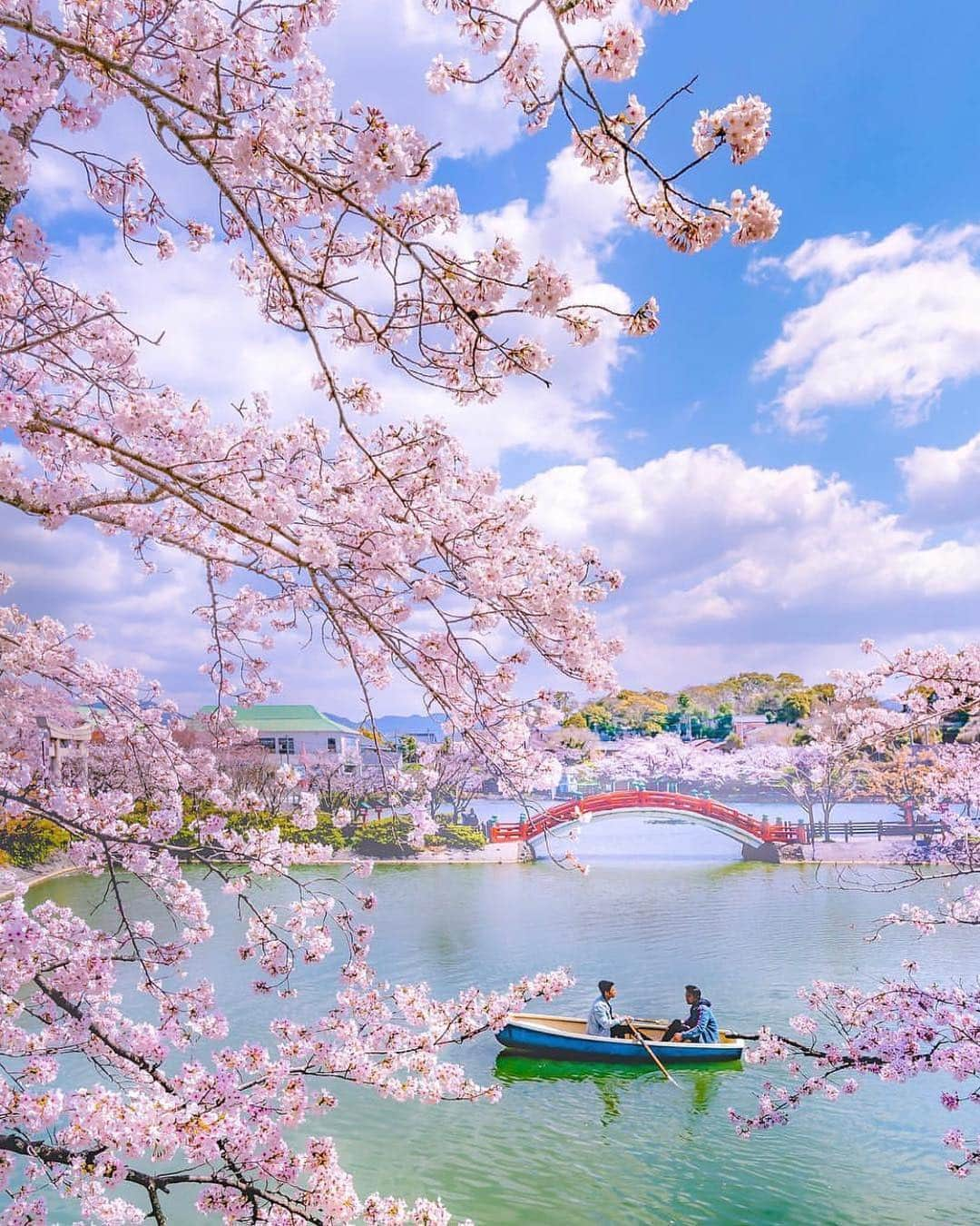 はなまっぷ❁日本の花風景さんのインスタグラム写真 - (はなまっぷ❁日本の花風景Instagram)「🍃🌸はなまっぷ平成最後の桜まつり🌸🍃 * @astrailor_jp さんの 平成の桜に花まるを💮 * 平成を彩る日本の美しい桜をありがとうございます😊🌸🍃 * 見頃を過ぎている場所もご紹介しています。 お出かけの際はHP等で最新の情報をご確認くださいね🙏🌸🍃 * 🌸•••🍃•••🌸•••🍃•••🌸•••🍃•••🌸 * 🌸桜まつり概要🌸 * 期間:平成最後の日まで タグ:#はなまっぷ * #はなまっぷ  のタグの中から、桜のお写真をどんどんご紹介させていただきます。期間中はランダムに、複数枚投稿でもご紹介させていただく場合がございます。 * #桜#sakura#花見#さくら#日本#春#花#平成最後の#満開 * 🌸•••🍃•••🌸•••🍃•••🌸•••🍃•••🌸 * はなまっぷより * 💌LINEスタンプ「はなまっぷちゃん」絶賛発売中！みなさんのLINEにも花まるを💮 💌はなまっぷ本、Amazonや全国の書店さんで満開です！ぜひお手にとっていただけると嬉しいです🌸 * LINEスタンプ、はなまっぷ本は、プロフ欄記載のTwitterアカウントよりご確認ください。 * 🌸•••🍃•••🌸•••🍃•••🌸•••🍃•••🌸 *」4月30日 6時25分 - hanamap