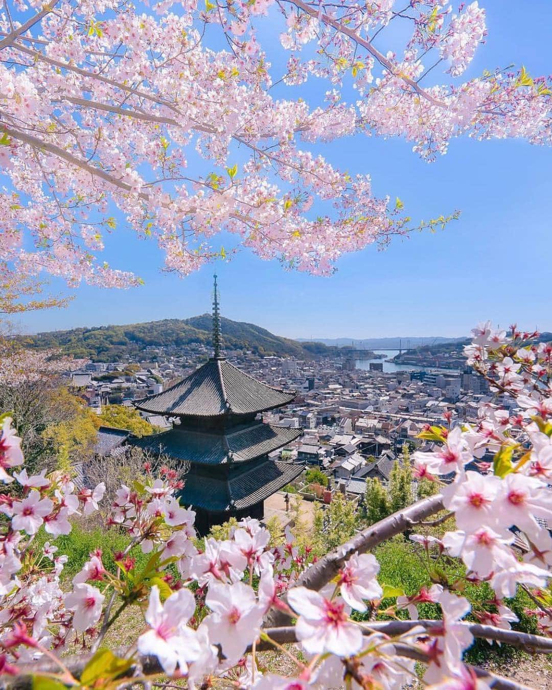 はなまっぷ❁日本の花風景さんのインスタグラム写真 - (はなまっぷ❁日本の花風景Instagram)「🍃🌸はなまっぷ平成最後の桜まつり🌸🍃 * @astrailor_jp さんの 平成の桜に花まるを💮 * 平成を彩る日本の美しい桜をありがとうございます😊🌸🍃 * 見頃を過ぎている場所もご紹介しています。 お出かけの際はHP等で最新の情報をご確認くださいね🙏🌸🍃 * 🌸•••🍃•••🌸•••🍃•••🌸•••🍃•••🌸 * 🌸桜まつり概要🌸 * 期間:平成最後の日まで タグ:#はなまっぷ * #はなまっぷ  のタグの中から、桜のお写真をどんどんご紹介させていただきます。期間中はランダムに、複数枚投稿でもご紹介させていただく場合がございます。 * #桜#sakura#花見#さくら#日本#春#花#平成最後の#満開 * 🌸•••🍃•••🌸•••🍃•••🌸•••🍃•••🌸 * はなまっぷより * 💌LINEスタンプ「はなまっぷちゃん」絶賛発売中！みなさんのLINEにも花まるを💮 💌はなまっぷ本、Amazonや全国の書店さんで満開です！ぜひお手にとっていただけると嬉しいです🌸 * LINEスタンプ、はなまっぷ本は、プロフ欄記載のTwitterアカウントよりご確認ください。 * 🌸•••🍃•••🌸•••🍃•••🌸•••🍃•••🌸 *」4月30日 6時25分 - hanamap