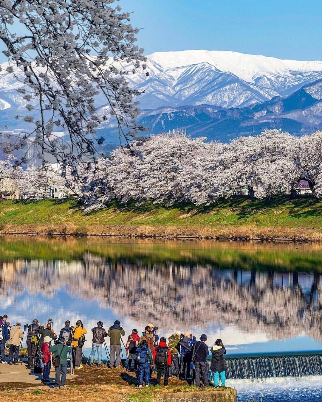 はなまっぷ❁日本の花風景さんのインスタグラム写真 - (はなまっぷ❁日本の花風景Instagram)「🍃🌸はなまっぷ平成最後の桜まつり🌸🍃 * @taku__0715 さんの 平成の桜に花まるを💮 * 平成を彩る日本の美しい桜をありがとうございます😊🌸🍃 * 見頃を過ぎている場所もご紹介しています。 お出かけの際はHP等で最新の情報をご確認くださいね🙏🌸🍃 * 🌸•••🍃•••🌸•••🍃•••🌸•••🍃•••🌸 * 🌸桜まつり概要🌸 * 期間:平成最後の日まで タグ:#はなまっぷ * #はなまっぷ  のタグの中から、桜のお写真をどんどんご紹介させていただきます。期間中はランダムに、複数枚投稿でもご紹介させていただく場合がございます。 * #桜#sakura#花見#さくら#日本#春#花#平成最後の#満開 * 🌸•••🍃•••🌸•••🍃•••🌸•••🍃•••🌸 * はなまっぷより * 💌LINEスタンプ「はなまっぷちゃん」絶賛発売中！みなさんのLINEにも花まるを💮 💌はなまっぷ本、Amazonや全国の書店さんで満開です！ぜひお手にとっていただけると嬉しいです🌸 * LINEスタンプ、はなまっぷ本は、プロフ欄記載のTwitterアカウントよりご確認ください。 * 🌸•••🍃•••🌸•••🍃•••🌸•••🍃•••🌸 *」4月30日 6時22分 - hanamap