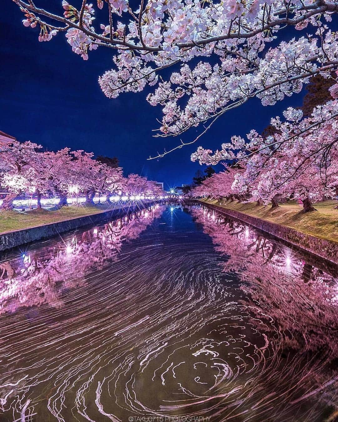 はなまっぷ❁日本の花風景さんのインスタグラム写真 - (はなまっぷ❁日本の花風景Instagram)「🍃🌸はなまっぷ平成最後の桜まつり🌸🍃 * @taku__0715 さんの 平成の桜に花まるを💮 * 平成を彩る日本の美しい桜をありがとうございます😊🌸🍃 * 見頃を過ぎている場所もご紹介しています。 お出かけの際はHP等で最新の情報をご確認くださいね🙏🌸🍃 * 🌸•••🍃•••🌸•••🍃•••🌸•••🍃•••🌸 * 🌸桜まつり概要🌸 * 期間:平成最後の日まで タグ:#はなまっぷ * #はなまっぷ  のタグの中から、桜のお写真をどんどんご紹介させていただきます。期間中はランダムに、複数枚投稿でもご紹介させていただく場合がございます。 * #桜#sakura#花見#さくら#日本#春#花#平成最後の#満開 * 🌸•••🍃•••🌸•••🍃•••🌸•••🍃•••🌸 * はなまっぷより * 💌LINEスタンプ「はなまっぷちゃん」絶賛発売中！みなさんのLINEにも花まるを💮 💌はなまっぷ本、Amazonや全国の書店さんで満開です！ぜひお手にとっていただけると嬉しいです🌸 * LINEスタンプ、はなまっぷ本は、プロフ欄記載のTwitterアカウントよりご確認ください。 * 🌸•••🍃•••🌸•••🍃•••🌸•••🍃•••🌸 *」4月30日 6時22分 - hanamap