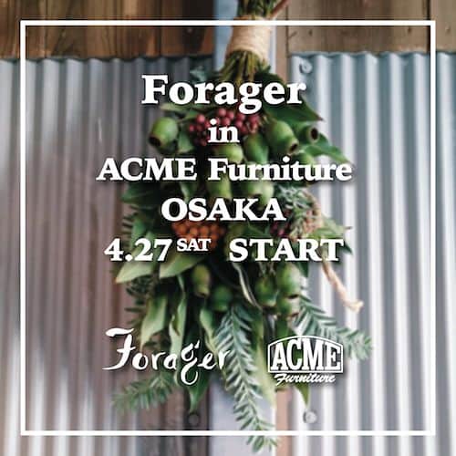 ACME Furnitureのインスタグラム