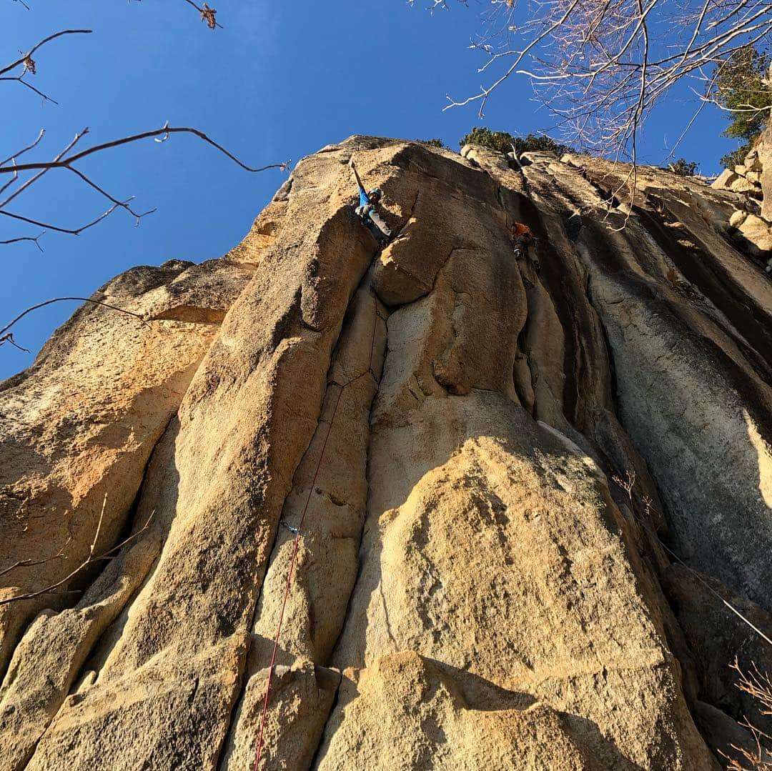 安間佐千さんのインスタグラム写真 - (安間佐千Instagram)「After Spain trip, I am mostly climbing in Mt.Mizugaki in Japan. This place is well known for bouldering and trad climbing with bold styles. I have been feeling difficulty to get into this adventure world for long time. The reason is that probably I grow up in plastic climbing culture. But slowly the door is opening! This place is so deep, intense and full of joy!  スペインから帰国後、時間さえあれば瑞牆山に足を運んでいる。ボルダーやトラッドクライミングが盛んなこの地は、僕にとってはとても敷居の高い場所であった。今まで何度もその地を訪れているが、どこか中に入れてもらえない感覚があった。極めて不思議な感覚ではあるが、おそらく自然や冒険の世界には何層にも目に見えぬレイヤーがあるのだと思う。最近、その扉が少しずつ開いてきているように感じる。 ・ 2016年以来、再びノーマットでのボルダーを始めた。組手や先住者、数列、キトラ、ヒドラを完登。 そして植田夫妻@mic_ued @dream_moco  にお誘い頂き、ギアも何も持っていない中、初の末端壁へ。フリーダムを触り、アストロドームをフラッシュ。素晴らしい体験であった。お二人に感謝😌🙏 昨日は@hide9a2019 と初の十一面へ。様々なクラックを味わうことができるクラシック、ベルジュエールを登った。 益々夢が膨らむ。でもどこかこのワイルドな自然の中にいるだけで幸せな気持ちもある。 ・ @adidasterrex @petzl_official @fiveten_official」4月30日 17時59分 - sachiamma