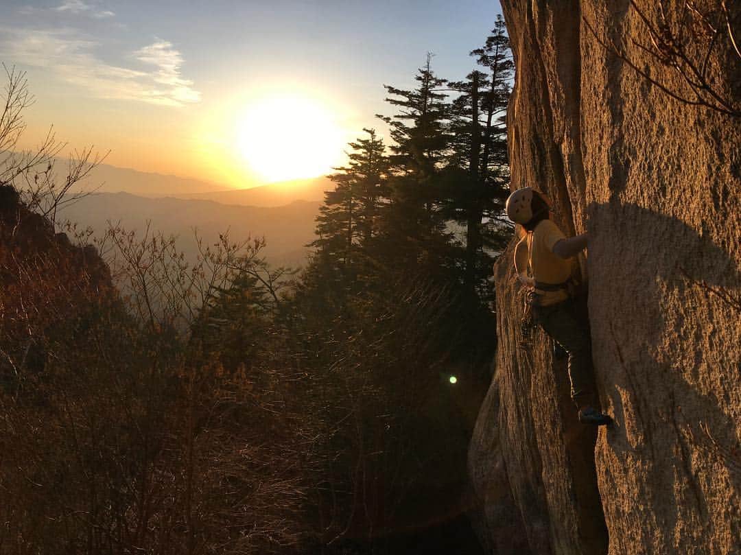植田夢月のグルメインスタ