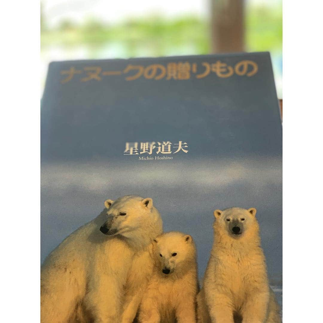 空木マイカさんのインスタグラム写真 - (空木マイカInstagram)「インスタ映え〜！ヨーロッパに来たのかと思うこの景色は木曽三川公園アクアワールド水郷パークセンターです😏✨ ･ 昨日たんぽぽクッキングというイベントに行ってきたんですが、これがすごい！！たんぽぽのことすごく詳しくなるし、たんぽぽの葉っぱサンドイッチはとっても美味しかったです😊食後はたんぽぽを笛にして鳴らしたり、たんぽぽでシャボン玉をしたり！充実の内容✨スケジュール見るとここのイベントはどれも本当に魅了的で、また行きたいなぁと思っています💕 ･ おじいちゃんの木工ワークのコーナーでは竹ぽっくりを作ったり、綿棒鉄砲を作ったり。日帰り旅気分満喫してきましたー！ #子どものいる暮らし  #5歳 #3歳 #水郷パークセンター」4月30日 9時54分 - maika_utsugi