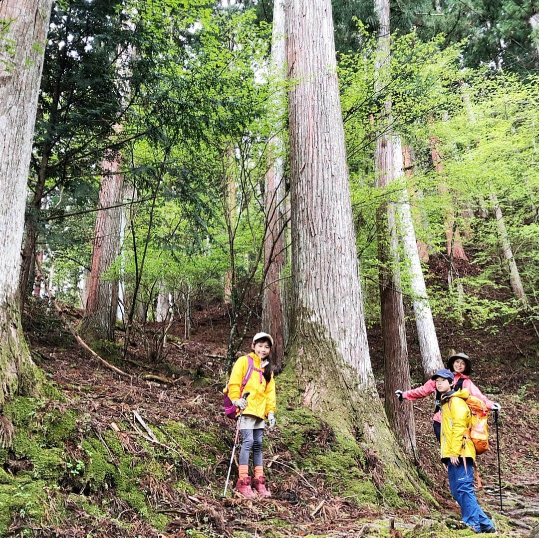 AYUMIさんのインスタグラム写真 - (AYUMIInstagram)「家族登山 子どもたちにとっても、私たち親にとっても 大切なことを〝感じる〝時間になりますようにと 今回は山頂のお寺の宿坊へ . . #AYUMIアウトドア #家族登山 #登山 #アウトドア #outdoor #montbell」4月30日 10時38分 - ayumiayunco