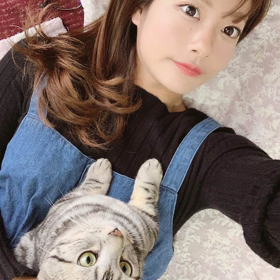 晴山由梨さんのインスタグラム写真 - (晴山由梨Instagram)「ゴールデンウィーク🐱💛 . #ゴールデンウィーク #猫 #ねこ #ねこのいる生活 #ねこのいる暮らし #マンチカン #ソラ #1歳 #catsofinstagram #catstagram」4月30日 10時32分 - hareyama_yuri