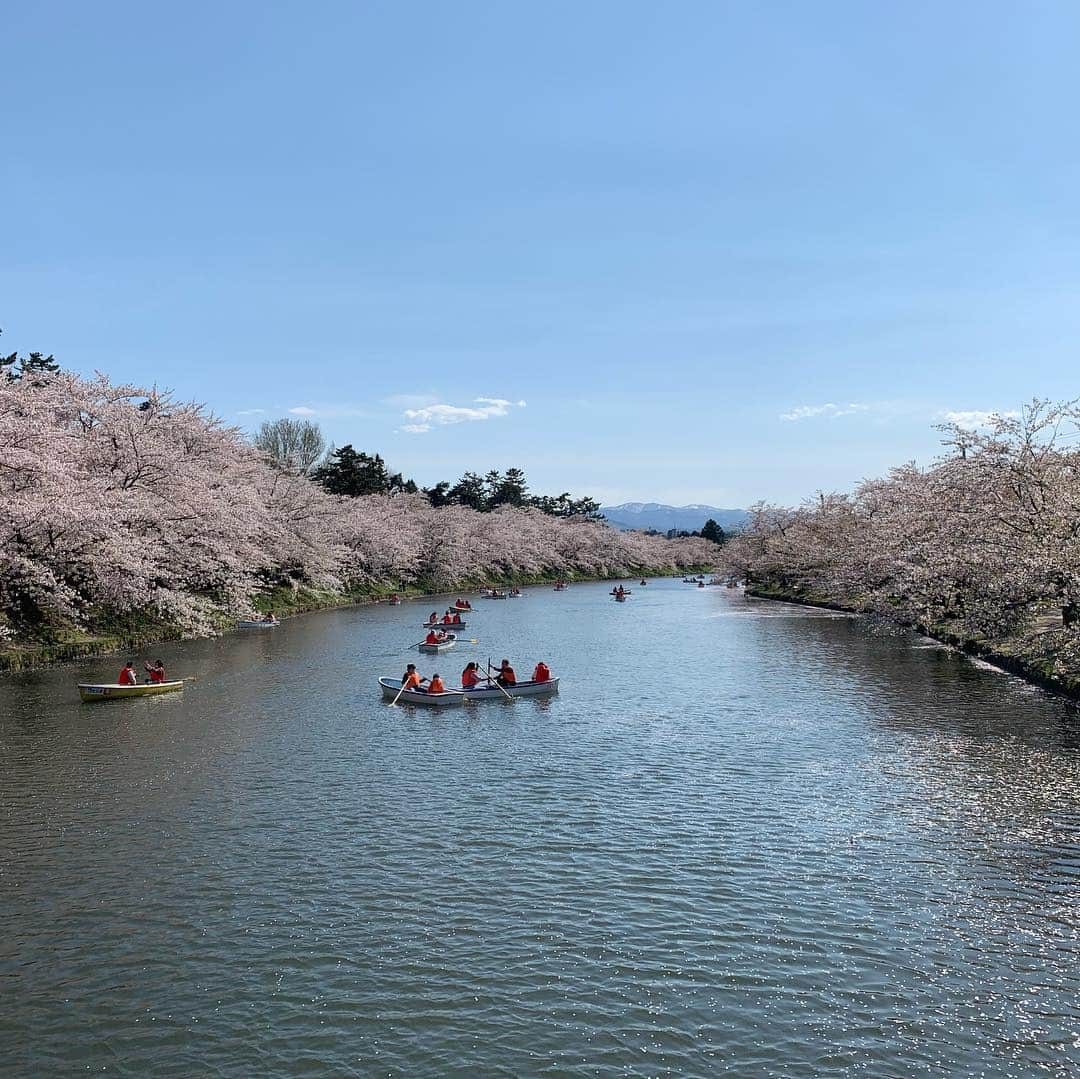 稲葉千秋さんのインスタグラム写真 - (稲葉千秋Instagram)「弘前公園🌸 到着して2時間ほどで 花いかだがいっぱいに！ ナイスなタイミングでした😆✨ #弘前公園 #桜満開 #花いかだ #桜フォト #しだれざくら  #最高な景色」4月30日 10時37分 - chakey_15