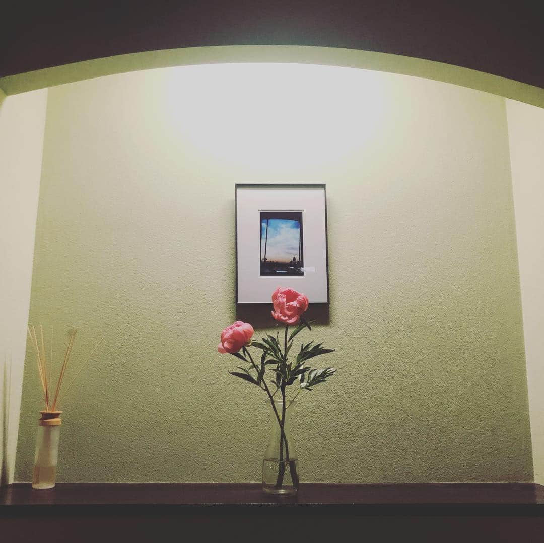 のインスタグラム：「#さよなら平成  #平成最後 のゴミ収集間に合わず #令和 にゴミを持ち越す #gw #朝寝坊  #日帰り #出張 は疲れます。 #鎌倉 は #雨  #平成最後 の#swiw からの #逗子 #映画祭 の予定なんだけど 雨で中止かも。」