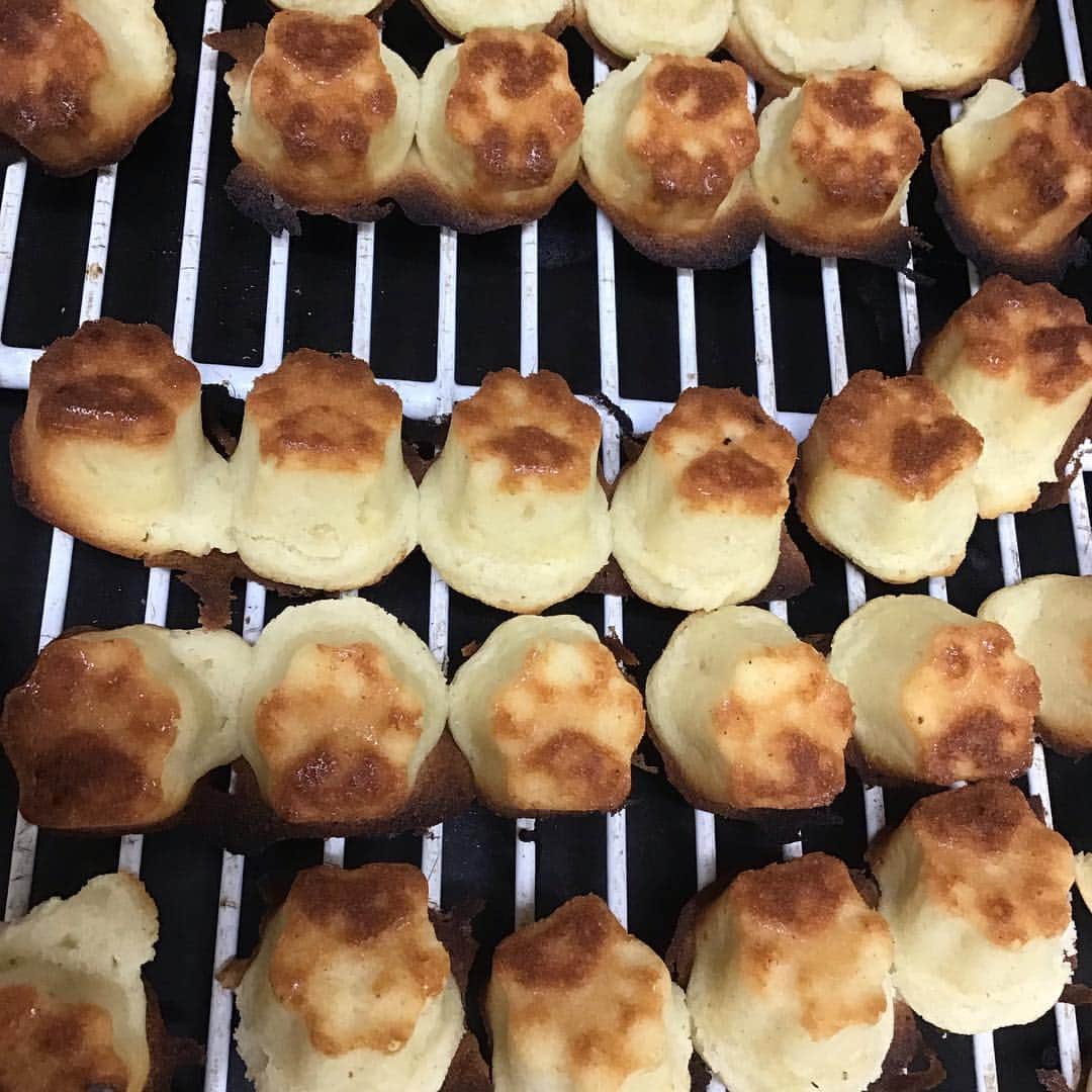 魔女菅原のグルメインスタ