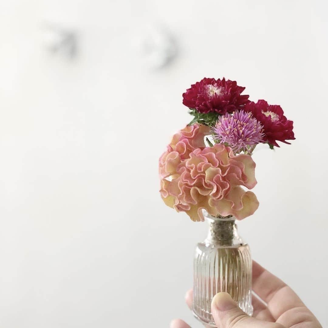 Bloomee LIFEさんのインスタグラム写真 - (Bloomee LIFEInstagram)「・⠀ 本日は小瓶を活用した素敵な写真をご紹介します。⠀ 色がはっきりとしたお花をきゅっと小瓶に飾るととても際立ちますね🌷アンティーク調の瓶の柄と、花の色味がマッチして素敵です💕⠀ ・⠀ Special Thanks Photo by⠀⠀ @ao0910⠀ ・⠀ 現在母の日に向けて、🇬🇧Cath Kidston🇬🇧と母の日キャンペーンを開催中💐⠀ 今登録するとCath Kidstonデザインの期間限定パッケージでBloomee LIFEのお花が届くかも？！⠀ ・⠀ また、豪華プレゼントが当たる投稿キャンペーンも実施中🎉⠀ --- ありがとうの気持ちを、お花のお便りで。 ---⠀ Bloomee LIFEではお母さんへのありがとうの気持ちを「お花のお便り＝#ママラブレター 」でお届けします💌⠀ 素敵な#ママラブレター をご投稿してくださった方の中から抽選で⠀ 【合計100本のカーネーションブーケ🌹】をペア5組10名様にプレゼント🎁⠀ ・⠀ 詳しくは下記をチェック👌⠀ ↓↓↓⠀ ・⠀ 💓母の日を想う全ての人に感動を💓⠀ 5月12日は母の日。⠀ Bloomee LIFEは、あなたの大切なお母さんへの想いを「お花のお便り」でお運びします💐⠀ ・⠀ ■プレゼント：投稿キャンペーンに参加した方の中から抽選で、ペア5組10名様に【合計100本のカーネーションブーケ🌹】をプレゼント！⠀ ペアで貰えるからお母さんと2人でお花を楽しむことができます☺️⠀ ■参加方法：⠀ ①@bloomeelife をフォロー⠀ ②赤いカーネーションの画像 または Cath Kidston母の日限定ボックスの画像を用意⠀ ③#ママラブレター #bloomeelife を付けてテーマに沿ったエピソードを投稿⠀ ■投稿テーマ：投稿テーマは期間によって異なります👌⠀ 第1弾：《4/12-4/22》普段伝えられないお母さんへの感謝の気持ち⠀ 第2弾：《4/23-5/2》お母さんの好きなところ⠀ 第3弾：《5/3-12》お母さんと一緒にしたいこと⠀ ・⠀ 当選者の方にはbloomee LIFE 公式アカウントよりDMにてご連絡させていただきます💌⠀ ・⠀ #bloomeelife#ブルーミーライフ#花のある生活#花好きな人と繋がりたい#おうち時間#花部#花写真#花のあるくらし#花のある暮らし#花のある風景#花が好き#花を飾る#暮らし#暮らしを楽しむ#日々の暮らし#丁寧な暮らし#日々#お花のある暮らし#暮らしをたのしむ#くらし#素敵な休日#暮らしを整える#くらしのきほん#日々の暮らしを楽しむ」4月30日 11時00分 - bloomee