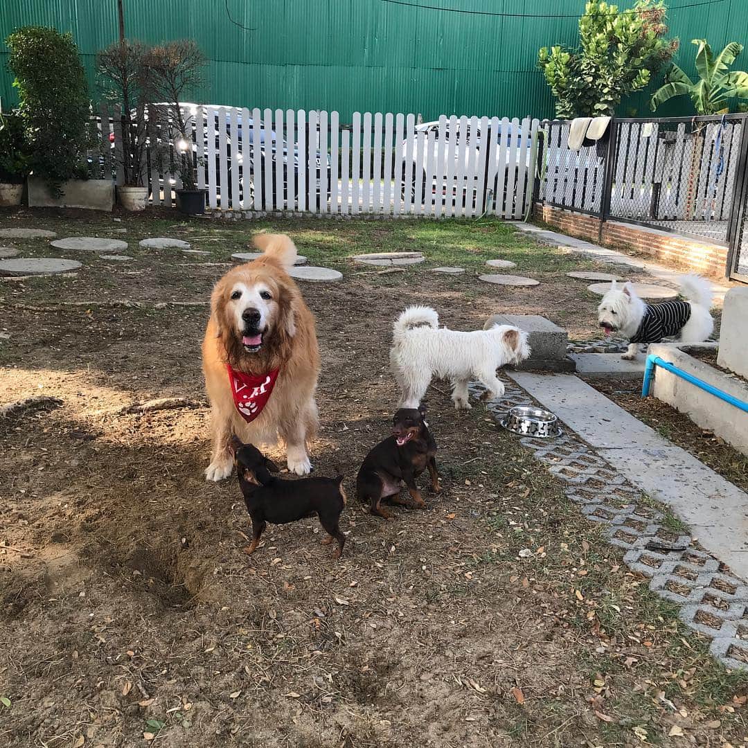 Hoykong&Plamuekのインスタグラム：「With friends #hkpm」