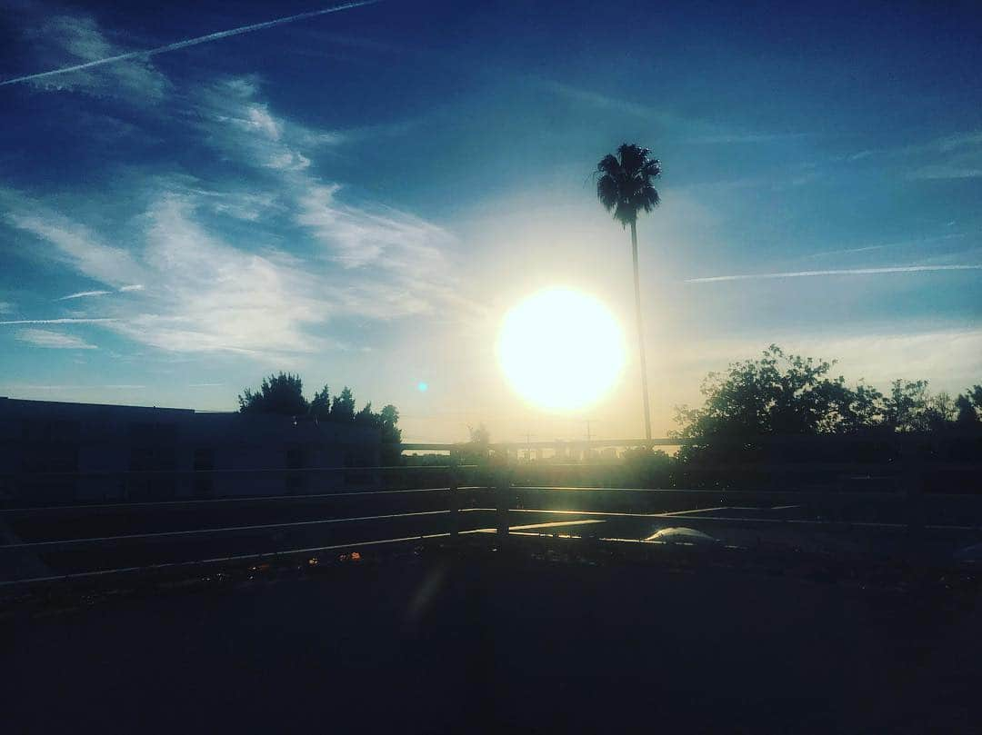 トーレイ・デヴィートさんのインスタグラム写真 - (トーレイ・デヴィートInstagram)「#LA」4月30日 11時30分 - torreydevitto