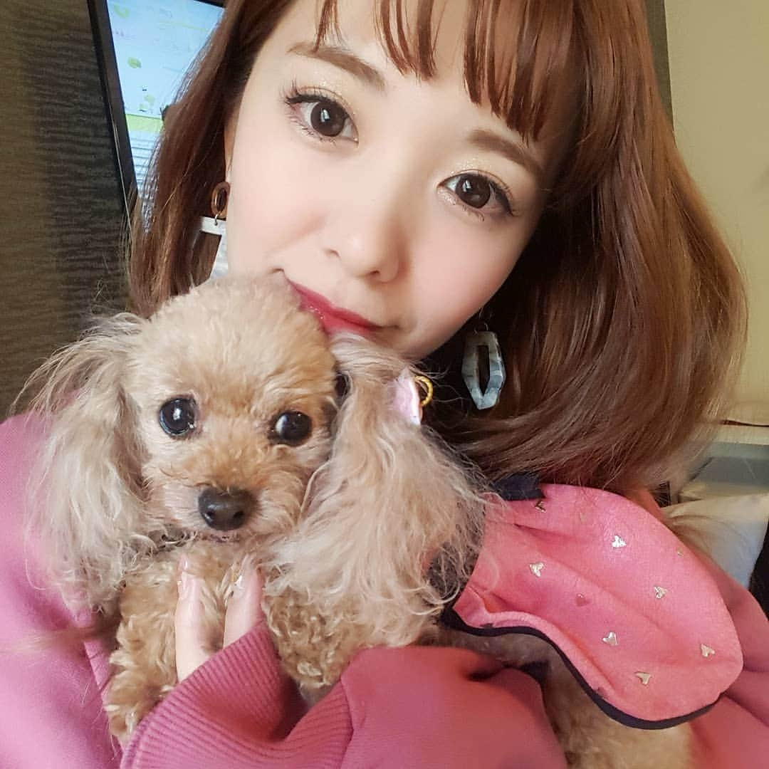 長江愛美さんのインスタグラム写真 - (長江愛美Instagram)「pinkお揃いコーデ👧🐶 #お揃い#pink#ピンク#愛犬#teacuppoodle#ティーカッププードル #dog#平成最後 #平成最後の日」4月30日 11時55分 - manamin.512