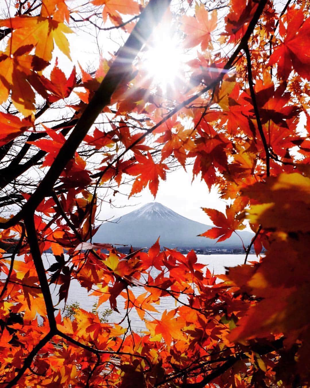 田村幸士さんのインスタグラム写真 - (田村幸士Instagram)「. The colors of “Heisei”. . 1. Mt.Fuji, Yamanashi 2. Lake Kawaguchi, Yamanashi 3. Fushimi inari, Kyoto 4. Daiba, Tokyo 5. Kobushigadake, Nagano 6. Mt. Tanigawa, Gunma . . . . #hsinthefield #thaimaged #mobilemag #nature_focus_on #visualinspiration #modernoutdoors #ig_japan #instagramjapan #wu_japan #nipponpic #lovers_nippon #bestjapanpics #unknownjapan #hubsplanet #wonderful_places #discoverer #globe_visuals #mtfuji #mountfuji #fushimiinari #fushimiinarishrine #kyotojapan #平成 #令和 #令和元年 #富士山 #伏見稲荷 #河口湖 #紅葉狩り #谷川岳」4月30日 12時30分 - kojimg