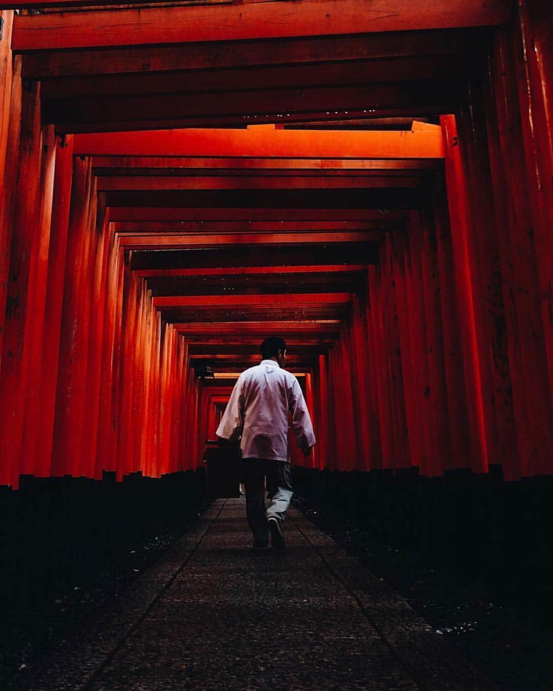 田村幸士さんのインスタグラム写真 - (田村幸士Instagram)「. The colors of “Heisei”. . 1. Mt.Fuji, Yamanashi 2. Lake Kawaguchi, Yamanashi 3. Fushimi inari, Kyoto 4. Daiba, Tokyo 5. Kobushigadake, Nagano 6. Mt. Tanigawa, Gunma . . . . #hsinthefield #thaimaged #mobilemag #nature_focus_on #visualinspiration #modernoutdoors #ig_japan #instagramjapan #wu_japan #nipponpic #lovers_nippon #bestjapanpics #unknownjapan #hubsplanet #wonderful_places #discoverer #globe_visuals #mtfuji #mountfuji #fushimiinari #fushimiinarishrine #kyotojapan #平成 #令和 #令和元年 #富士山 #伏見稲荷 #河口湖 #紅葉狩り #谷川岳」4月30日 12時30分 - kojimg