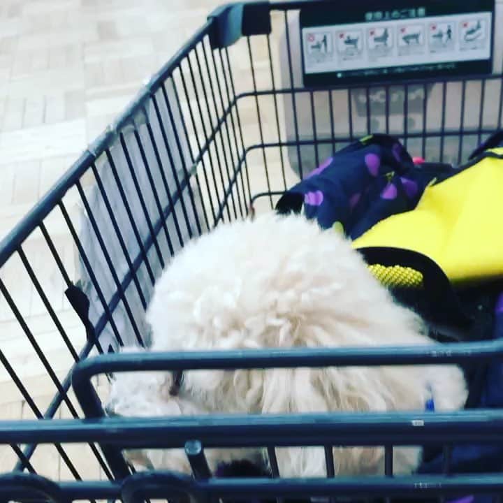 金村義明のグルメインスタ