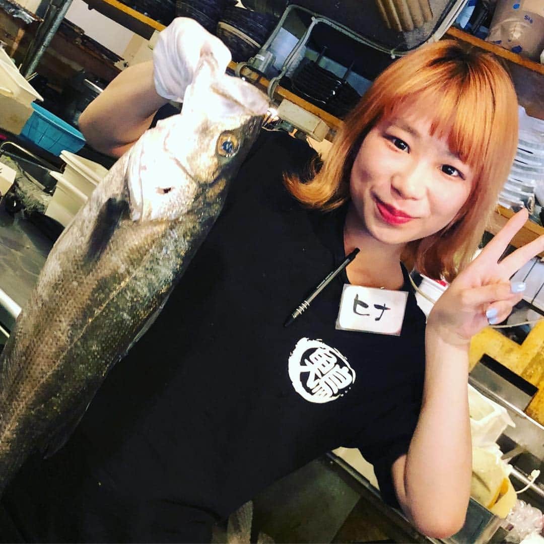 どんがめ三宮総本店のグルメインスタ