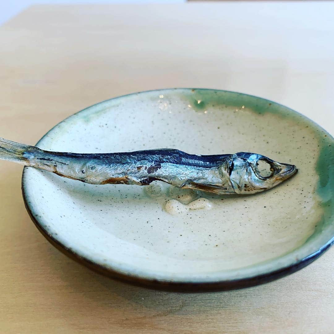 shin -SAKE instructor-のグルメインスタ