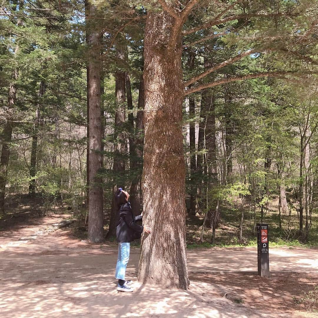 チョン・ヨンジュのインスタグラム：「🐿🕊🌲📽🎥」