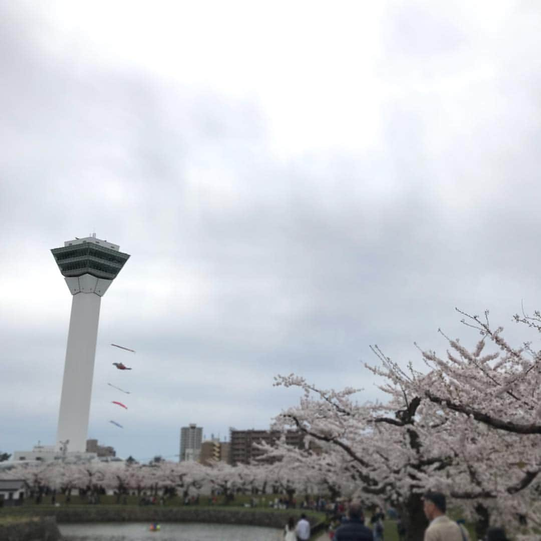 神田昭一のインスタグラム：「きょうは函館五稜郭公園からお天気  #HTB #イチオシ #お天気 #空とハイタッチ #桜中継 #函館 #五稜郭公園 #気象予報士 #神田昭一 #渡辺菜月」