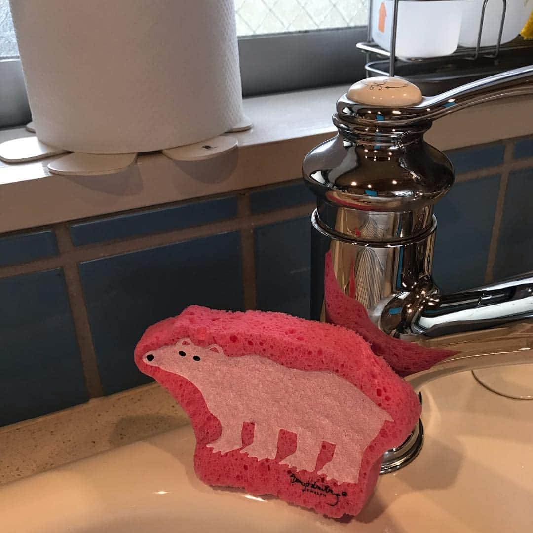 ecomfort（エコンフォート）さんのインスタグラム写真 - (ecomfort（エコンフォート）Instagram)「【e.ポップアップスポンジ】  みなさん平成最後の1日をどうお過ごしですか？  東京は残念ながら雨模様。わたしは家で過ごすと決めて、丁寧に「家のこと」しています。  令和を新しいスポンジでスタートしようと、新たな一枚おろしました。このみるみる膨らむ瞬間が何度やっても大好き！  木の端材を由来とするセルロース100%で作られたe.ポップアップスポンジは、使い勝手も、デザインも、そして環境性も抜群です。 令和の時代は、暮らしの道具を少し見直して、快適でサスティナブルにしませんか？  #ecomfort  #ecomfortHouse #e.ポップアップスポンジ #ポップアップスポンジ #しろくま #bengtandlotta #スポンジ #キッチン #ナチュラルキッチン #ナチュラルな暮らし #膨らむスポンジ #happy house keeping #食器を洗う #お片づけ #SDG s #表参道」4月30日 14時04分 - ecomfort_eoct