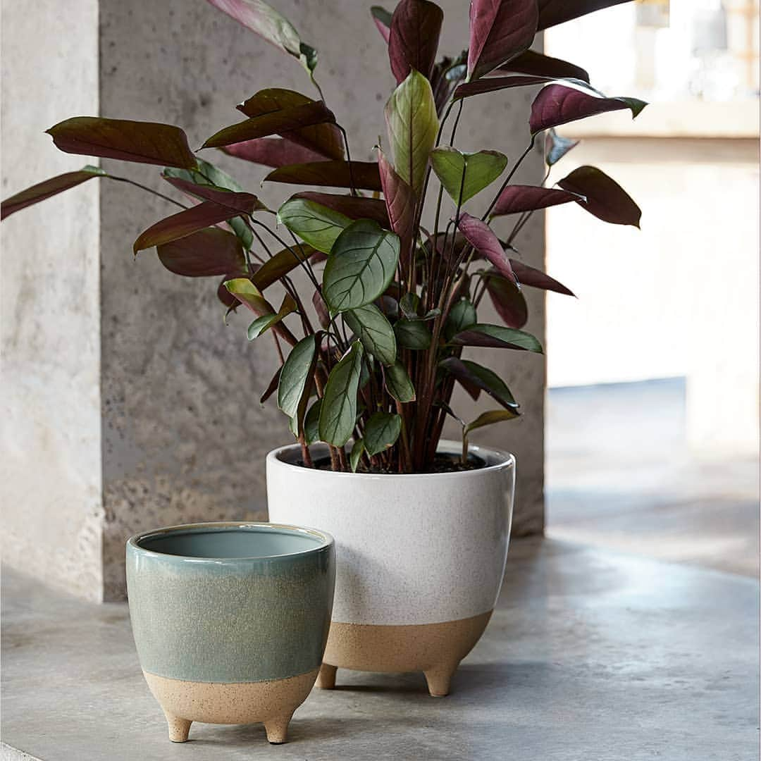 Target Australiaさんのインスタグラム写真 - (Target AustraliaInstagram)「Pots for all the plant lovers. Shop in store ❤️🎯 #winterspell #targetaus #targetaushome」4月30日 14時18分 - targetaus