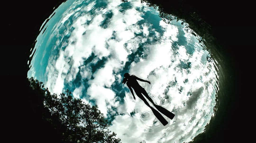 二木あいさんのインスタグラム写真 - (二木あいInstagram)「In the SKY. Photographed  @fabricedudenhofer Special Thanks @phocea_mexico #rivieramaya #mexico #coexist #nature #serenity #calmness #beauty #tranquility #zen #mindfulness #water #cenote #freshwater #swim #sky #clouds #mangrove #earth #planeta #underwater #freediving #onebreath #oneness  #blancpain #blancpainjapan #bewet #breierfins #spheramask #aifutaki」4月30日 14時21分 - aifutaki