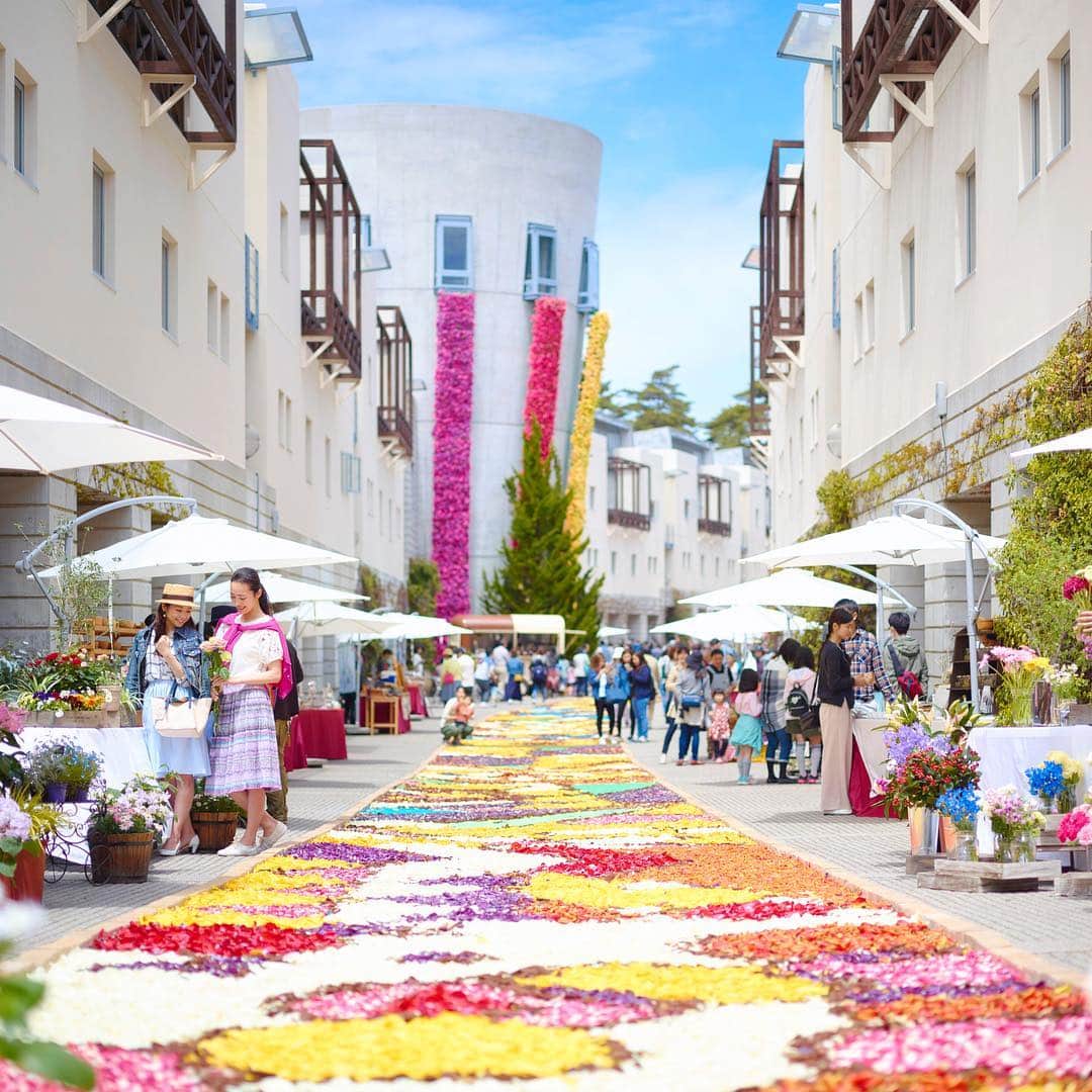 のインスタグラム：「ホテル中に花が咲き誇る、春の訪れを祝う祭典「花咲くリゾナーレ2019」 Celebrate your spring vacation in full bloom at Blossoming RISONARE 2019. #星野リゾート #リゾナーレ #リゾナーレ八ヶ岳 #春 #花咲くリゾナーレ2019 #イルマーレ #お花見 #HoshinoResorts #Risonare #RisonareYatsugatake #spring #flowers #blossoming」