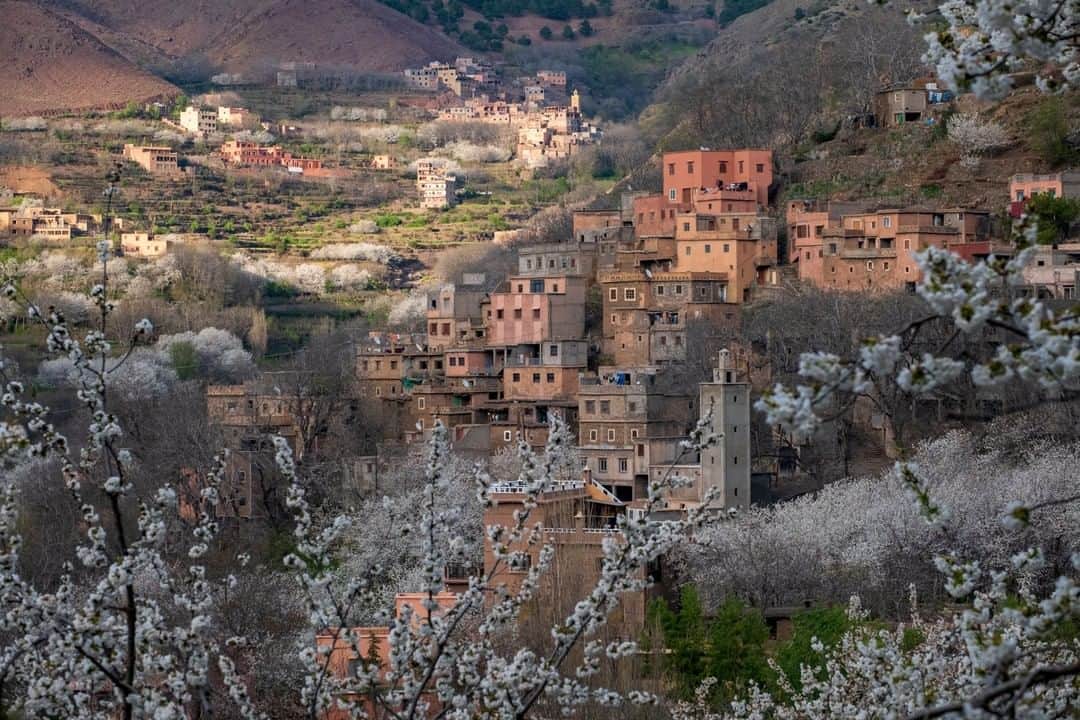 National Geographic Travelさんのインスタグラム写真 - (National Geographic TravelInstagram)「Photo by @KristaRossow | In early April I visited the High Atlas Mountains of Morocco while on assignment for a photography expedition with @NatGeoExpeditions. We were delighted to find the valley awash in the springtime blossoms of cherry and apple trees. I loved the juxtaposition of the pale blossoms against the pastel hues of the villages near Imlil. Follow me @KristaRossow for more images from #Morocco. #blossoms #spring」4月30日 16時02分 - natgeotravel