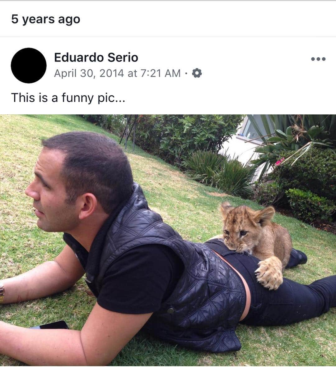 Black Jaguar-White Tiger さんのインスタグラム写真 - (Black Jaguar-White Tiger Instagram)「5 years ago today, Karma bit me on the butt. Literally... #KarmisForever #SaveLions」5月1日 3時13分 - blackjaguarwhitetiger