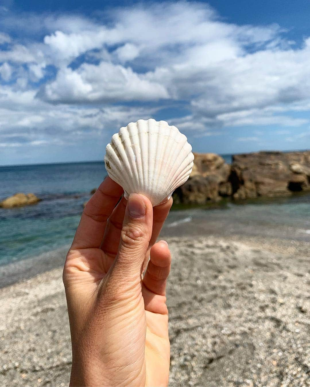 ズザンナ・ヤカボスさんのインスタグラム写真 - (ズザンナ・ヤカボスInstagram)「do you collect shells?」5月1日 3時30分 - zsuzsubell