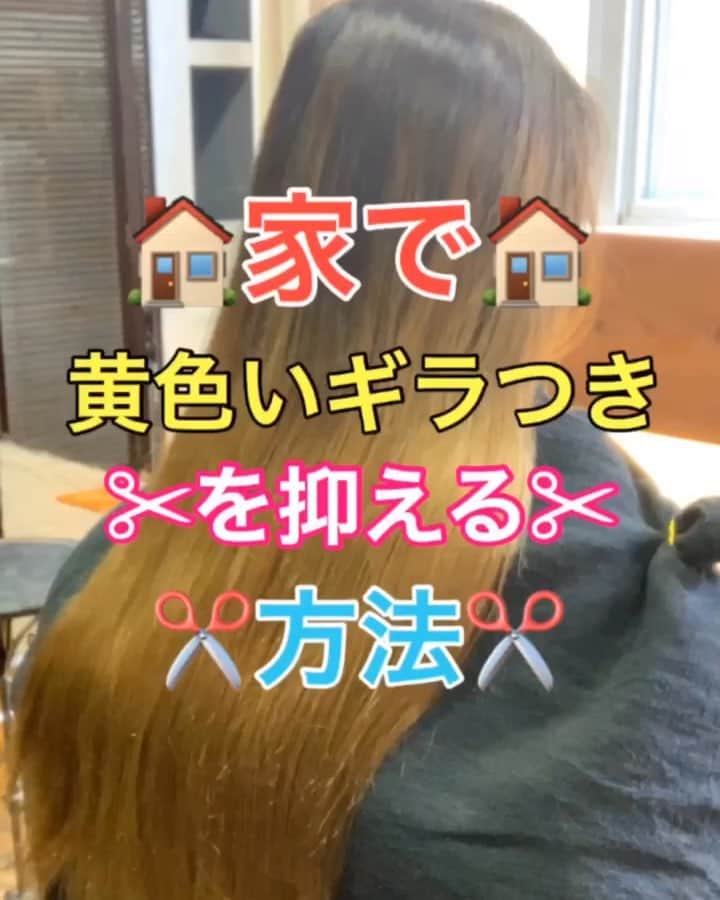 鶴谷和俊のインスタグラム：「【カラーシャンプー、トリートメント】黄色くギラつく人にオススメ✨カラーシャンプー&トリートメント🧴 ・ カラーの色持ちに特化したものになります‼️ 優先順位がカラーの色持ちを重視する方にオススメ🙋‍♂️ ・ アッシュ系、ブルー系、ベージュ系にされた方にオススメな方法です✂️ ・ ☆色の選び方 ロイドの場合 ・ アッシュ、青系に染めた方は ☆シルバーシャンプー ・ ヴァイオレット系カラーにされた方、黄色くギラギラしたくない方、ブリーチされた方、 ベージュ系カラーにされた方は ☆ムラサキシャンプー ・ 使い方 ①手に広げて毛先から丁寧に泡立てる。 ②普段通りシャンプーしてください。 泡に原色の色味がなくなり、白っぽく泡立っていればOK。 ③1分から2分放置 ④しっかり洗い流す。 ⑤軽く水分をとる。 ⑥ロイドカラーディップメタリックシルバーを使う。マスカット一個分くらい取る🙋‍♂️ 使われてるトリートメントと半分半分で混ぜると【効果大】 ⑦混ぜた場合は手のひらで混ぜる。 毛先中心につけてカラーの色抜けが気になる 部分中心につける。 毛先から丁寧につける。 粗めのブラシ、コームで毛先から丁寧にとかす。 ⑧放置時間は5分くらいでもよいですが 10分以上20以内放置すると色の入りがよくなる。 ⑨しっかり洗い流す。 ・ ダメージが気になる方は トリートメントの質をよくしてくださいね😊  カラーの色持ちが 【1番】気になる方は カラーシャンプー、トリートメントをオススメします✂️ 購入は @royd.color.shampoo @royd.color.dip  #ROYD #カラーディップ #colordip #roydcolordip #ロイド #ロイドカラーシャンプー #シャンプー #トリートメント #シルバーシャンプー #シャンプーの仕方 #カラートリートメント #ムラサキシャンプー #カラー退色予防 #カラー #hardi #アルディ #アルディイースト #神戸美容院 #神戸美容室 #三ノ宮美容室 #三ノ宮美容院 #三宮美容室 #三宮美容院 #三ノ宮サロン #神戸 #三ノ宮 #三宮 #元町 #美容師 #美容院」
