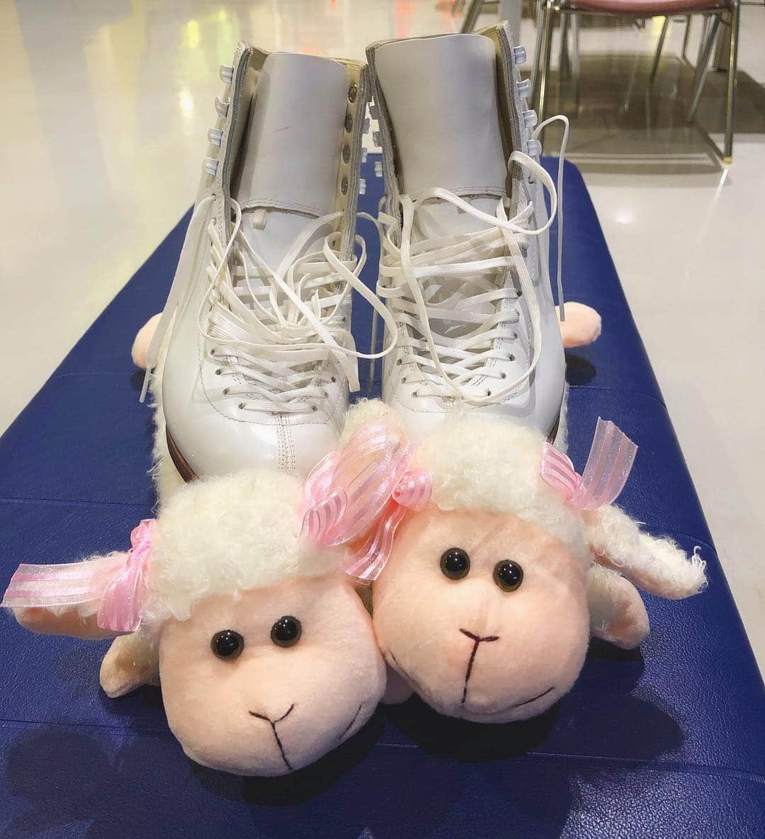 武田奈也のインスタグラム：「🐏❤️ もこもこもこもこ」