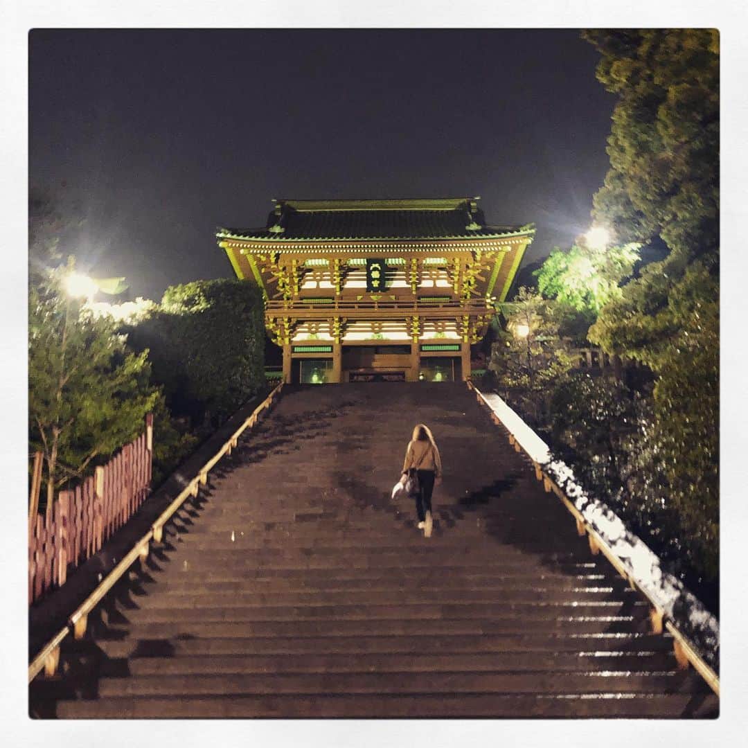 戸田昭吾のインスタグラム：「鶴岡八幡宮、大晦日じゃないのでこんな感じ。」