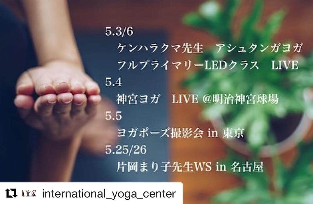のインスタグラム：「まだ間に合います！ IYC表参道のクラスは満席でごめんなさいですが、ゴールデンウィークは全国どこでもケンハラクマとアシュタンガヨガプライマリーシリーズをLIVE配信で体験出来ます！ 5月3&6日超お得なプラナヤマと瞑想・座学付！ 参加申込お待ちしています！ #Repost @international_yoga_center with @get_repost ・・・ #Repost @yogashare.photography with @make_repost ・・・ 第15回　“ヨガポーズ撮影会 in 東京”　を開催します！  フォトグラファーはこれまで長くアーサナを撮り続けている@yogashare.photography（RYT200取得） 今回は少人数での開催となります。  すぐに満席になりますので、気になる方は早めにお申込みください！ また、5月はヨガシェアのイベントがたくさん！  詳細はプロフ、ヨガシェアのブログ、アプリトップページ画像から♪」