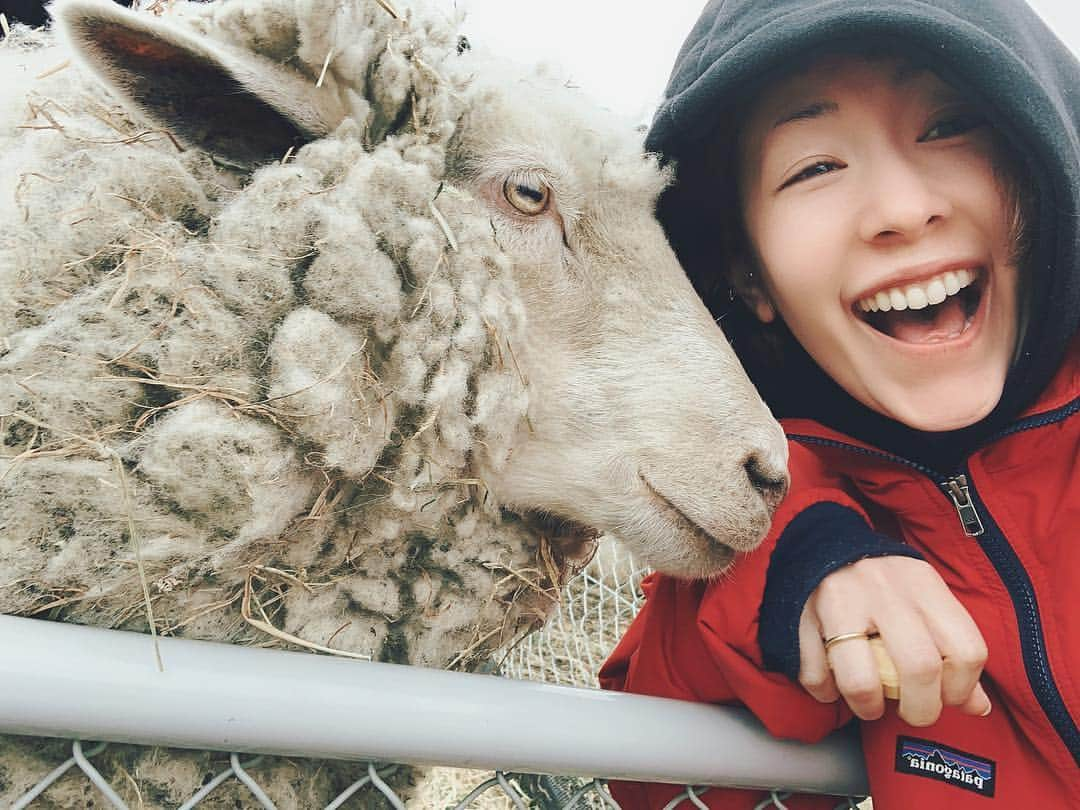 木村カエラさんのインスタグラム写真 - (木村カエラInstagram)「ひつじー🐑 ご飯あげたらウンメェ〜だって。  #ウンメェー」4月30日 20時37分 - kaela_official