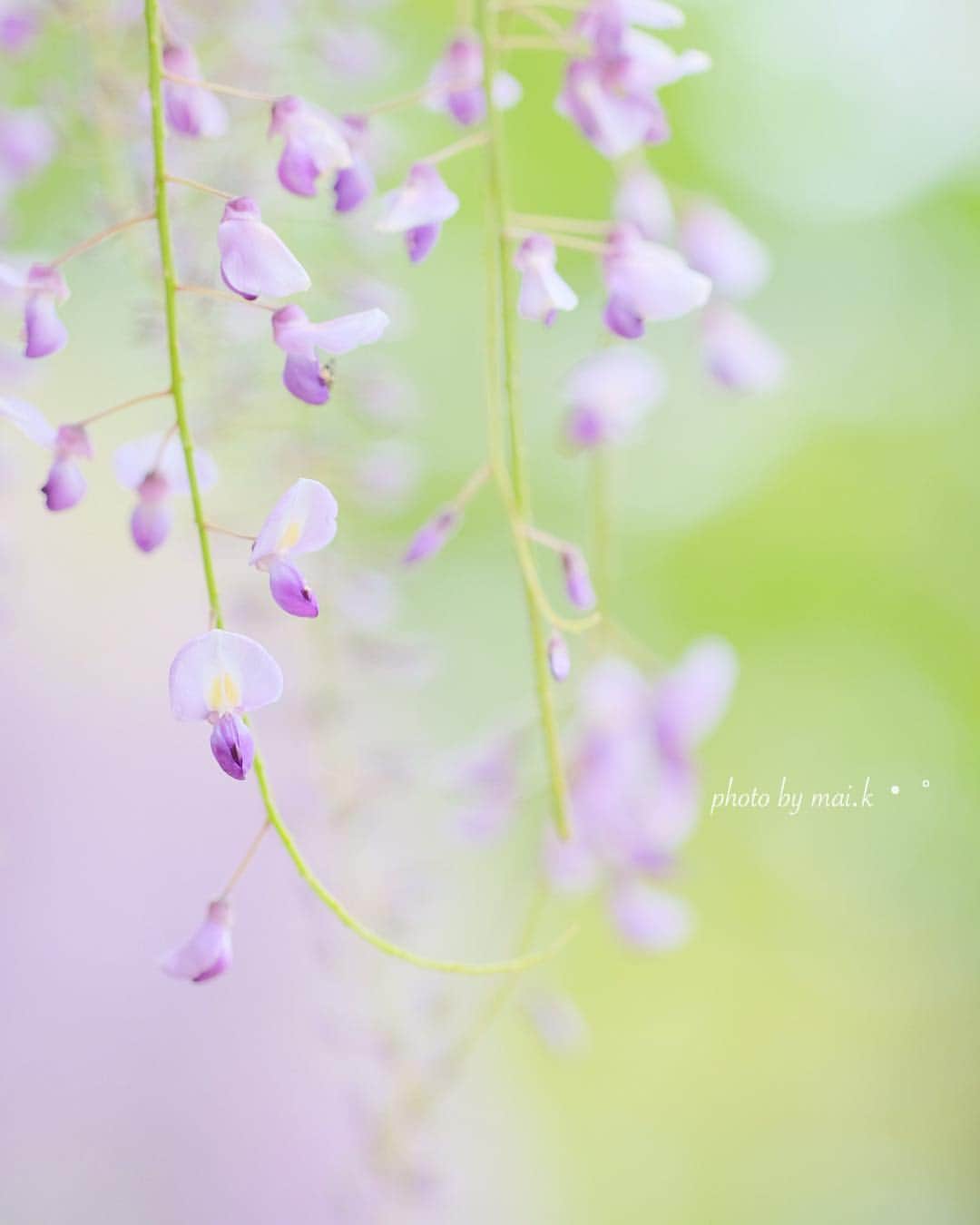 のインスタグラム：「やさしくたのしく・°・* . . 平成▷▷令和. もうすぐですね💓 . . みんなどうやって過ごしているのかな☺︎」