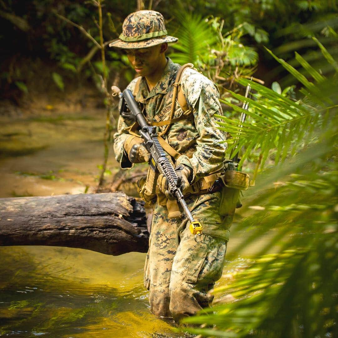 アメリカ海兵隊さんのインスタグラム写真 - (アメリカ海兵隊Instagram)「Race Through the Jungle  Lance Cpl. Aaron Moore, a rifleman with @mrfdarwin, conducts a patrol during Jungle Warfare Training, Tully, Australia, April 17, 2019. (U.S. Marine Corps photo by Lance Cpl. Nicholas Filca)  #Marines #USMC #Australia #Marine #Corps #MarineLife #Exercise #JWT #2019 #Military #Downunder #Race #Rah #Yut #SemperFi #Training #Aussie #Darwin」4月30日 20時56分 - marines