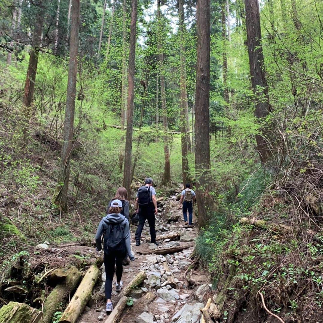 Risako Yamamotoさんのインスタグラム写真 - (Risako YamamotoInstagram)「GWに楽しみにしていたコトのひとつ🗓 大野DOJYOの登山イベント、金剛山へ🥾⛰🌳 ・ ・ 普段のトレーニングやランニングとはまた違った、楽しさを満喫！ 自然の中で感じた空気感、最高🌳✨ ・ ・ 山頂でみんなで頂いたご飯は格別に美味しく感じました🙏🏻♥️ 大野DOJYOの皆さま、楽しいイベントの企画から準備まで有難うございました☺︎♡ ・ ・ #金剛山 #登山 #ハイキング #大野DOJYO #GW @ohnodojyo」4月30日 21時02分 - risako_yamamoto