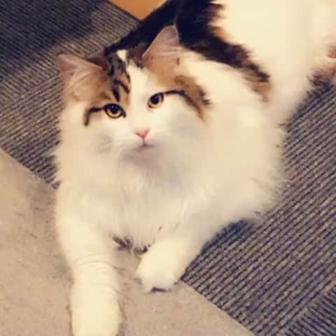 のインスタグラム
