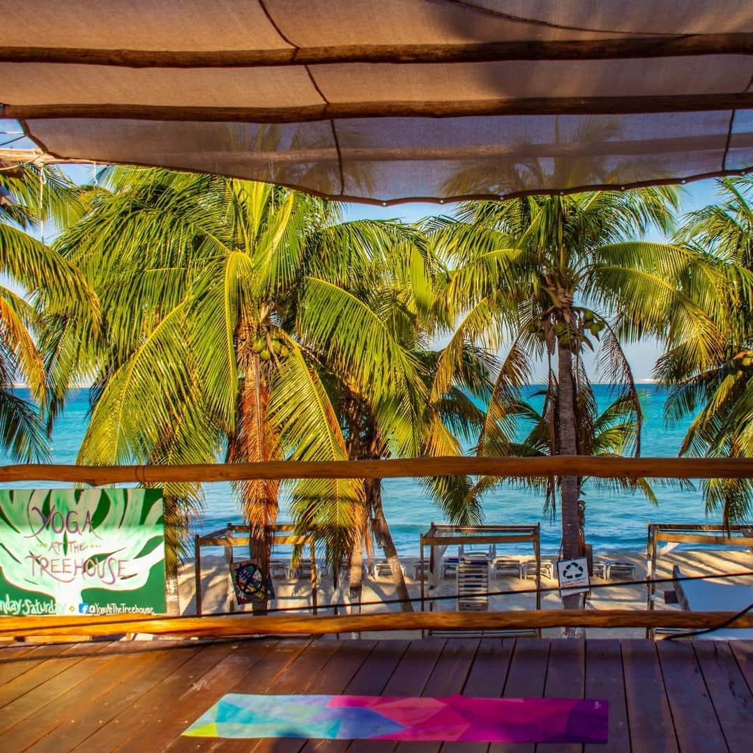 ルフトハンザさんのインスタグラム写真 - (ルフトハンザInstagram)「Surrounded by the warm salty air underneath the palm-leaf-roof the relaxing yoga excercises are an entirely new experience. #Lufthansa #EnrichingLife #Yucatán」4月30日 22時01分 - lufthansa