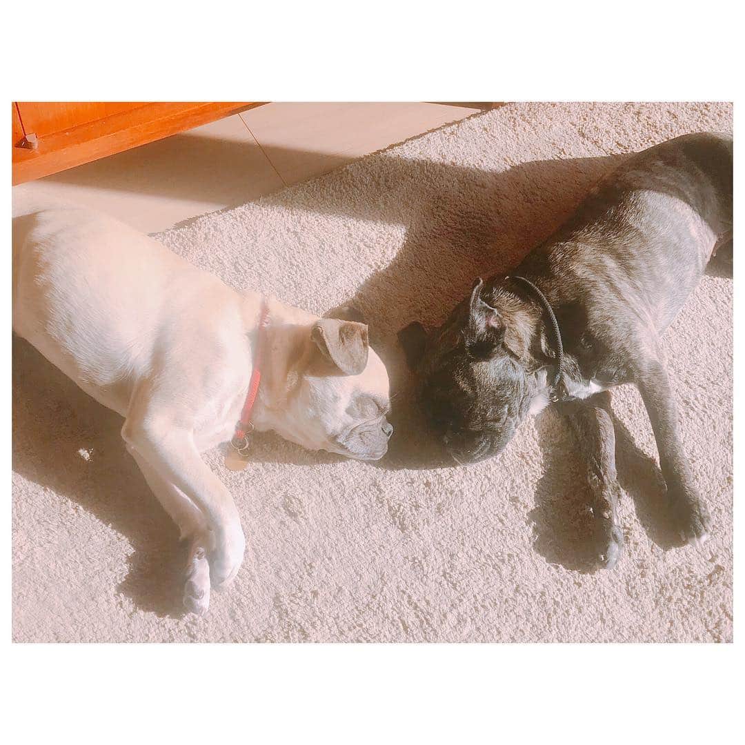のインスタグラム：「平成最後の日はとにかくのんびり過ごし幸せな1日でした♡ 感謝。 昭和に生まれ。 平成を生き。 新しい令和を迎える。 3元号生きられるなんて幸せだ。 令和はとにかく健康でいたい。 そして、ありきたりだけど。 良い時代になるといいなと心から願います。」