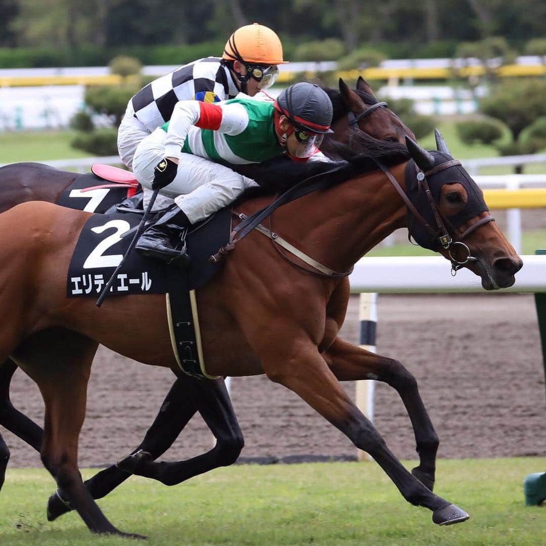 池添謙一さんのインスタグラム写真 - (池添謙一Instagram)「昭和生まれ👶平成騎手デビュー🏇 昭和も平成もありがとう！  令和もよろしくお願いしますm(_ _)m  #池添謙一 #ブラストワンピース #エリティエール 平成最後の勝利」4月30日 22時23分 - kenchan.0723