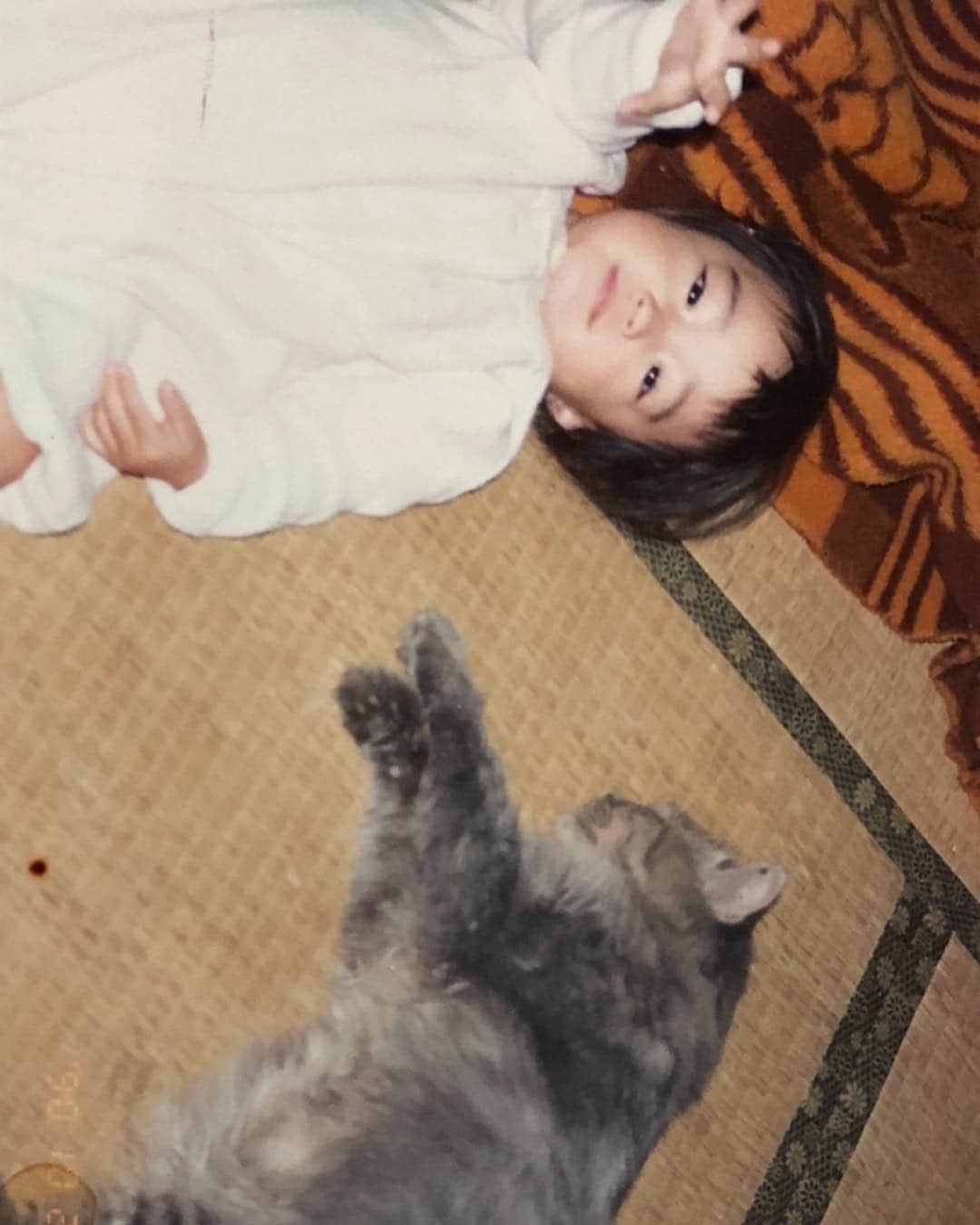 小雪さんのインスタグラム写真 - (小雪Instagram)「平成元年生まれ😊  急に何かが変わるわけではないだろうけど、新しい時代をこれまで通り 楽しく優しく健やかに過ごせますように  平成ありがとうございました！  #猫の名前はこてつ #2枚目みてね #鼻に注目←🤣」4月30日 22時25分 - koyuki2