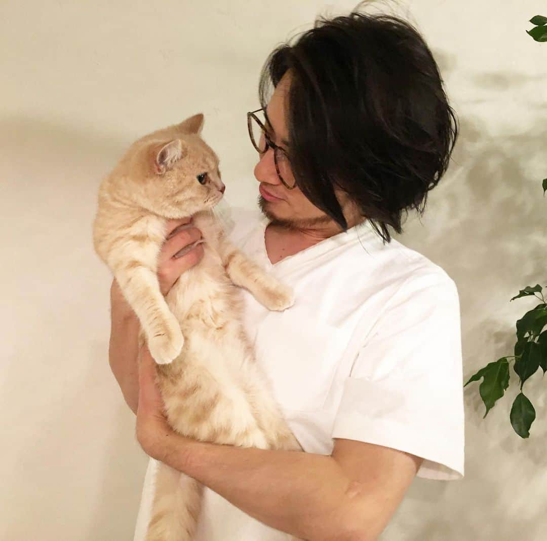 藤井明子さんのインスタグラム写真 - (藤井明子Instagram)「平成はほとんど猫と過ごしてたなぁ。 令和も天使のようなオットと絶対君主の息子と楽しく過ごせますように( ´ ▽ ` )  #小渕さんの平成はリアルタイムで見てたよ #平成ありがとう #1枚目お気に入り #歴代猫と平成を振り返る #けむちゃんの写真なかった #けむちゃん #くまごろう #でんちゃん #ののじ #絶対君主 #とらお」4月30日 23時13分 - fujiko0207